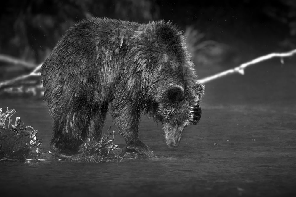 И как жить дальше?