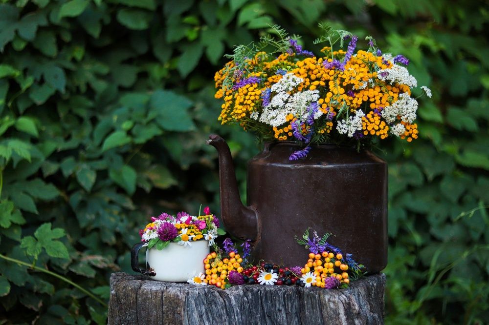 Может по чашечке лета?