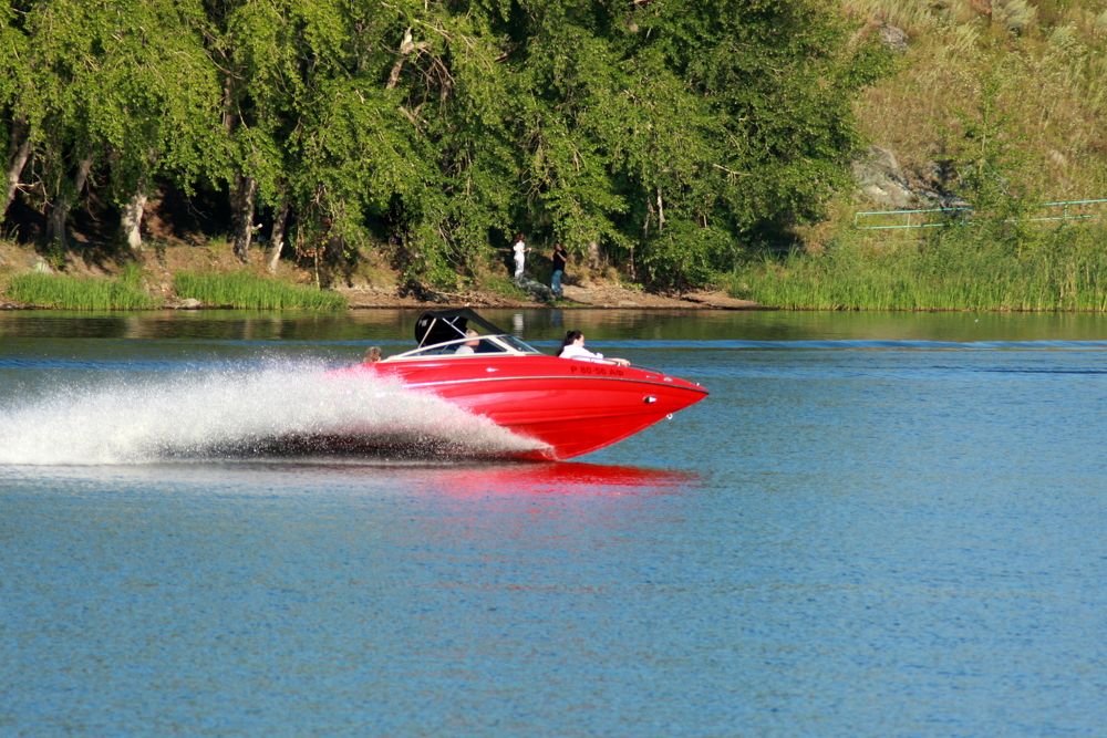 Фотография автора Nelya  Lysenko