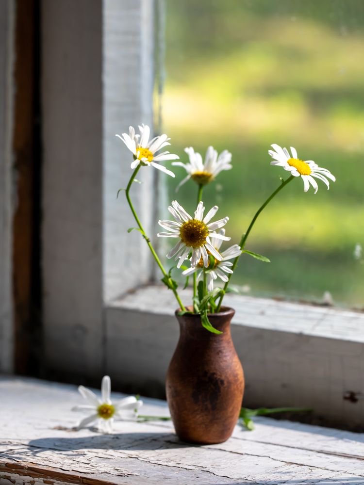 Photograph by Людмила Аксенова