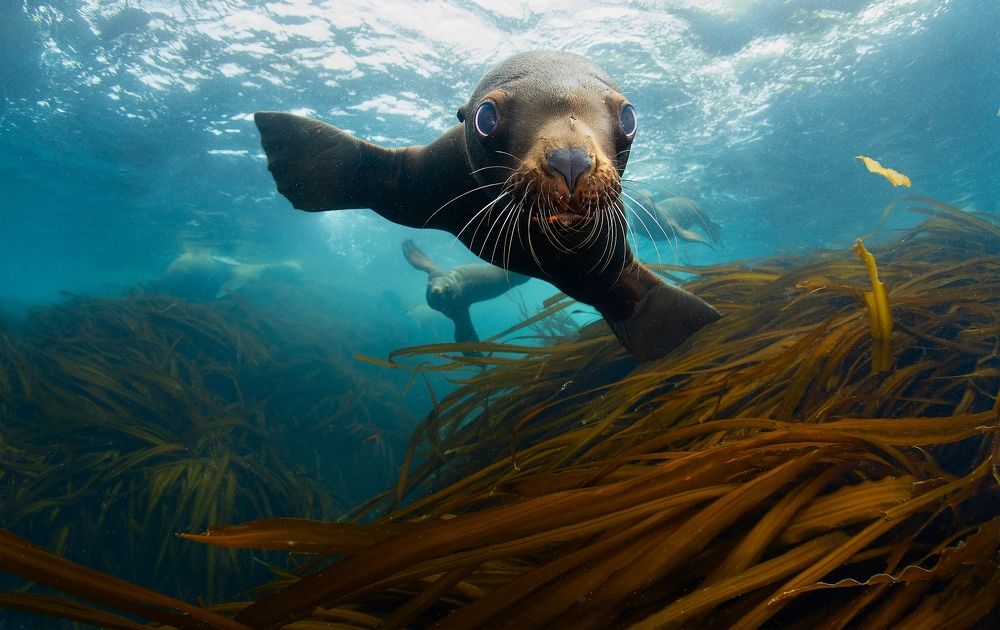 Photograph by Андрей Нарчук