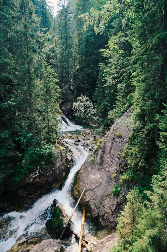 Фотография автора Margharyta