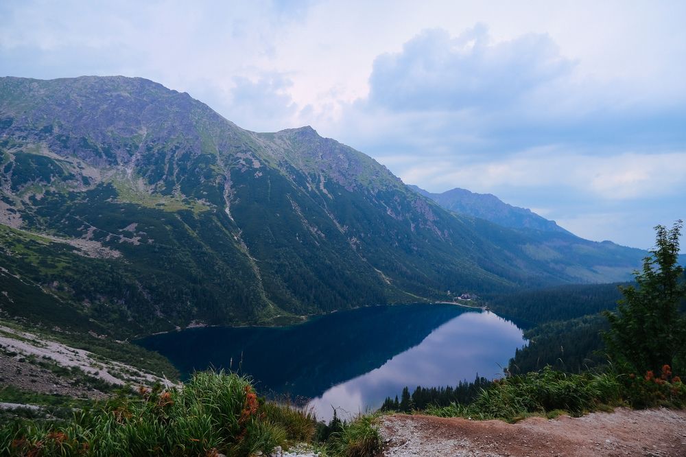 Фотография автора Margharyta