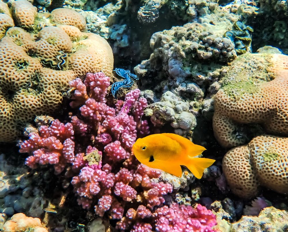 Photograph by Виктор ЛЬГОТИН