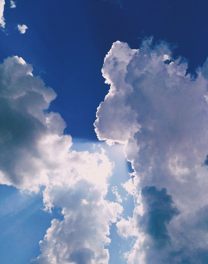 Photograph by Карина Шаланкова