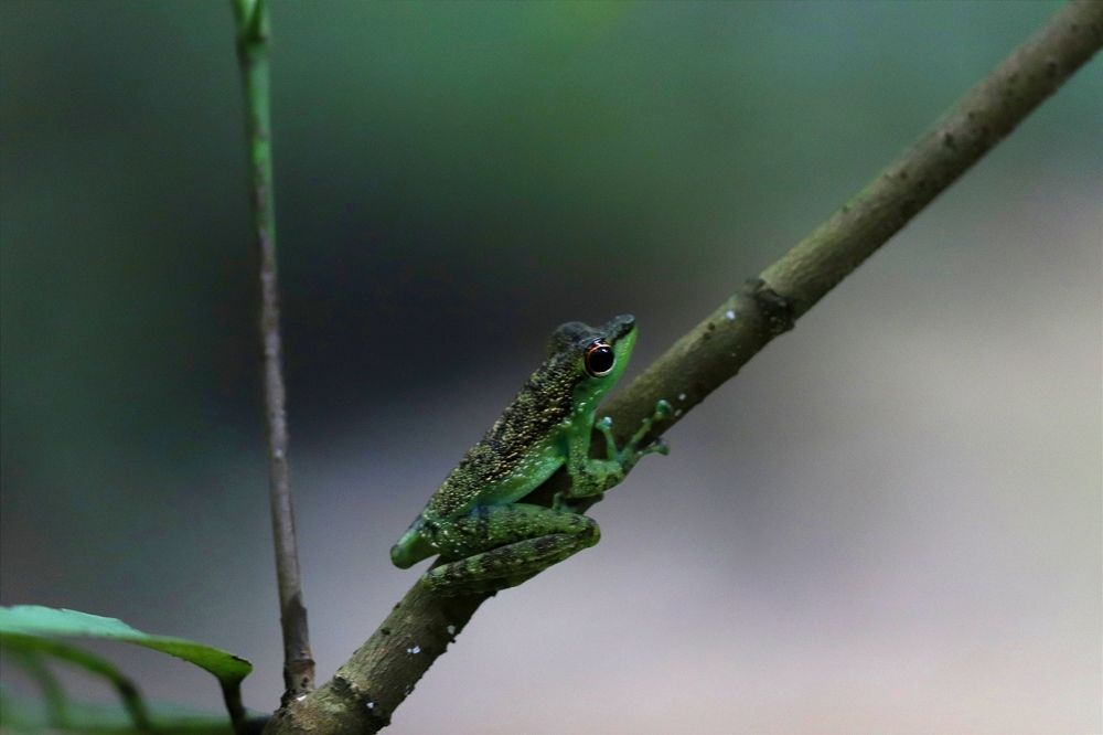 Photograph by bahrul