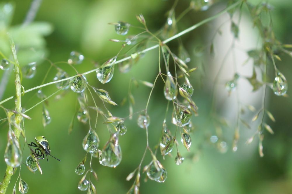 Photograph by Ольга Воронова