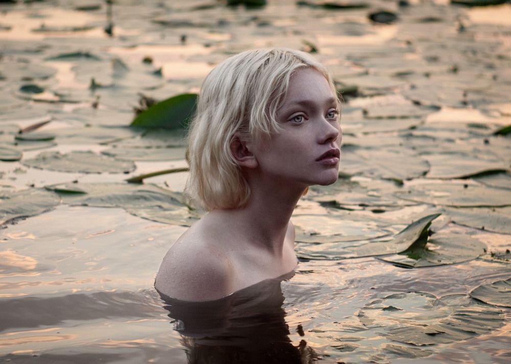 Photograph by Татьяна Шевченко