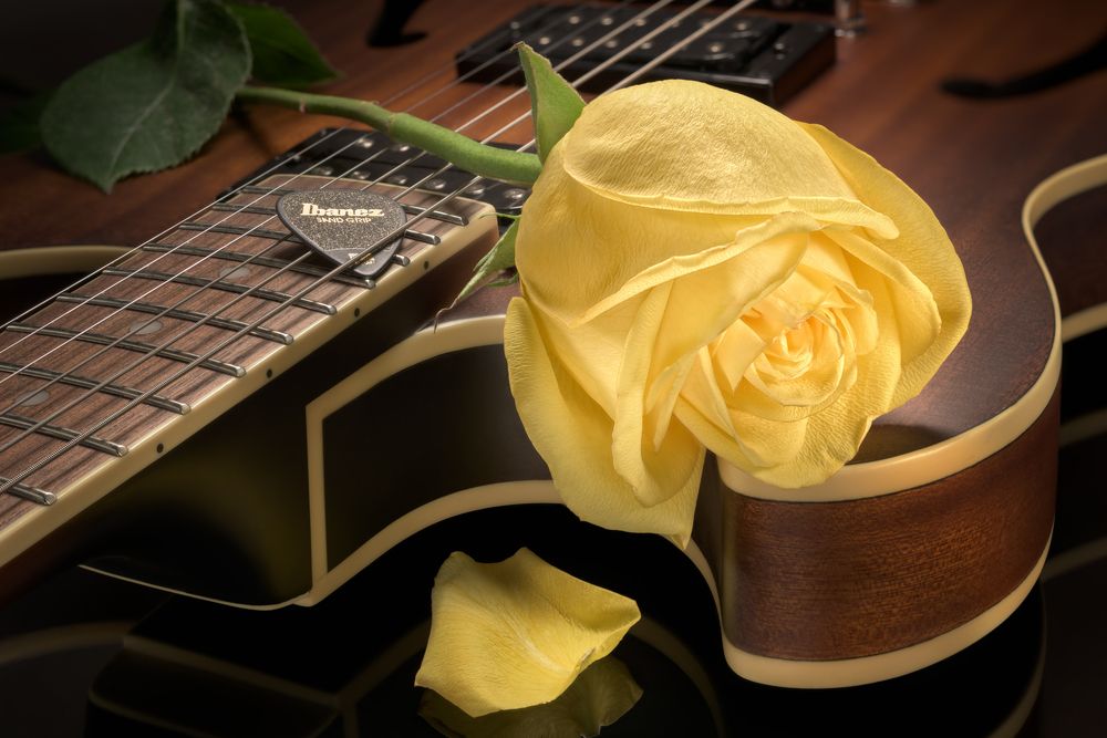 Photograph by Tom Fincher