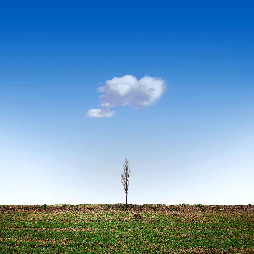 Photograph by Mohammad Dadsetan