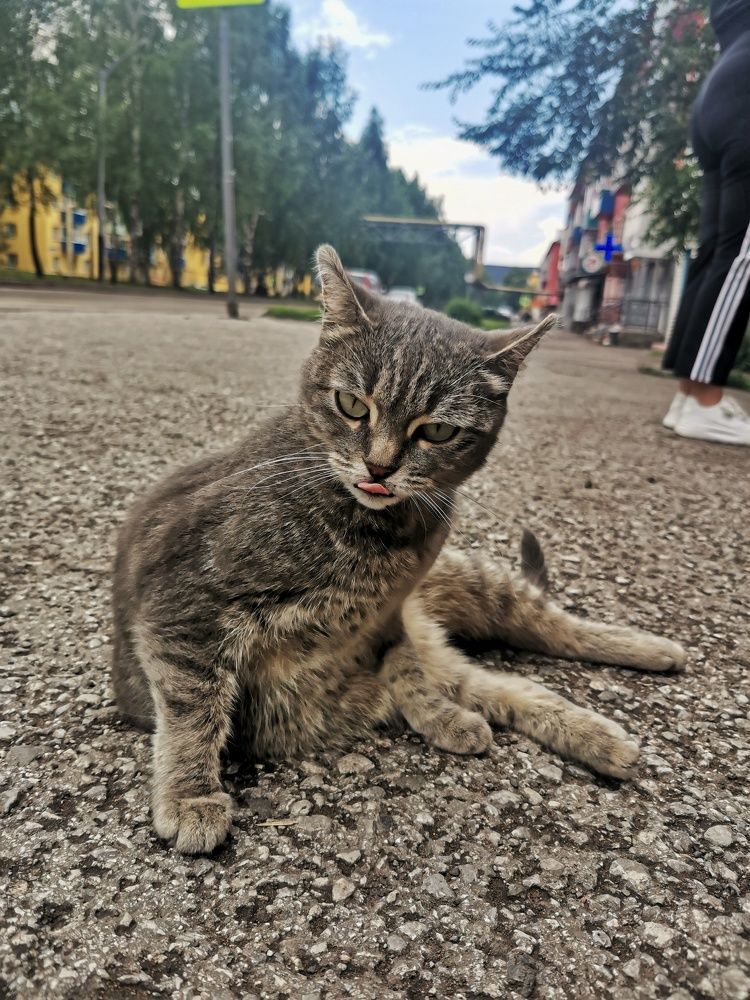 Photograph by Михаил Денисенко