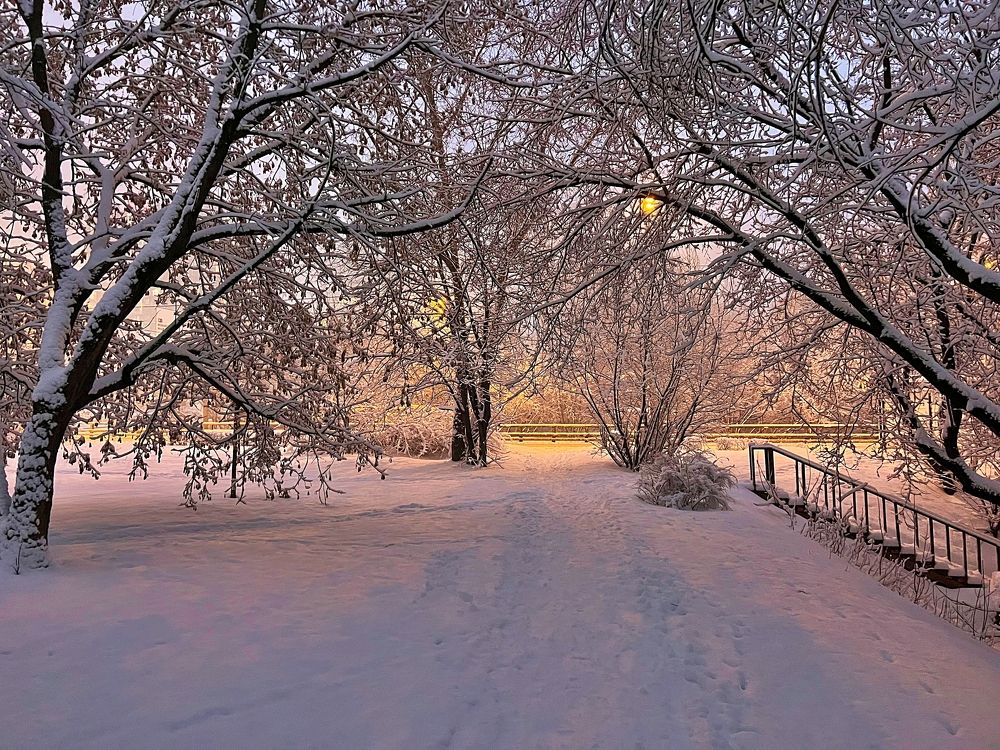 Photograph by Boris Fefelov