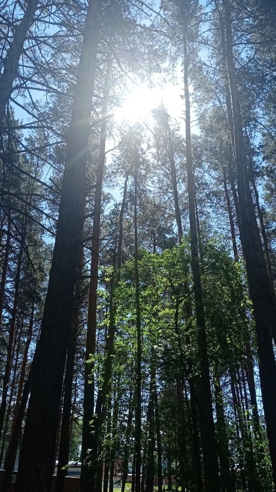 Photo #7897847