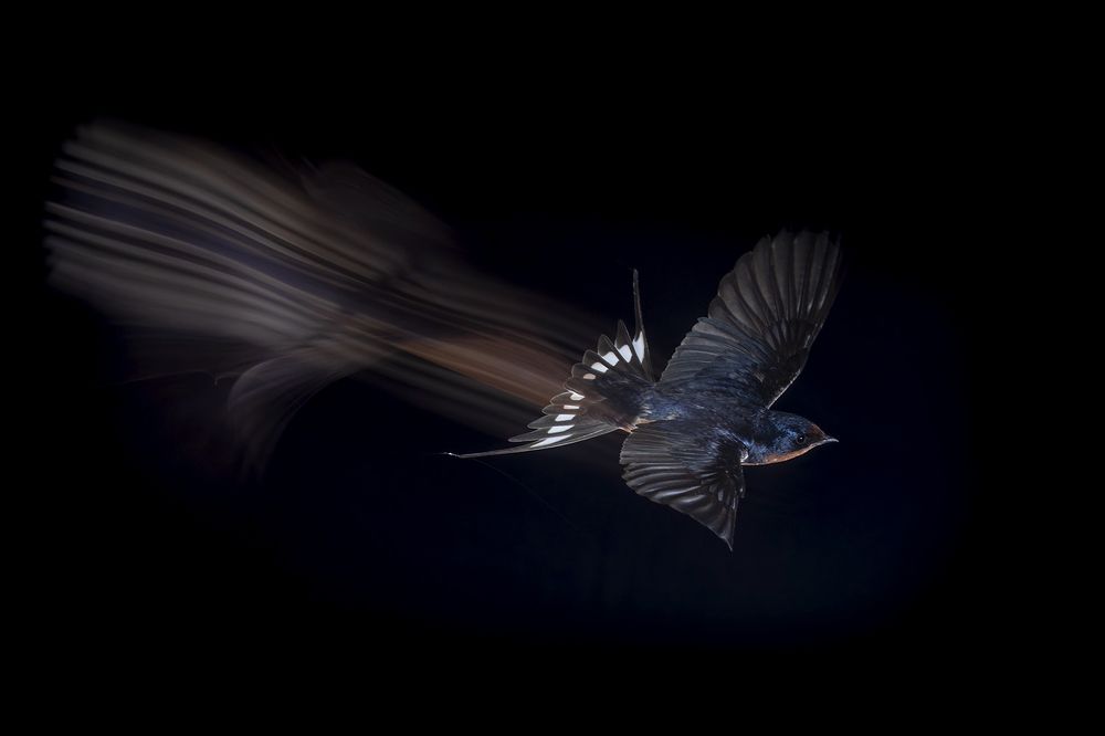 Photograph by Esteban Argerich