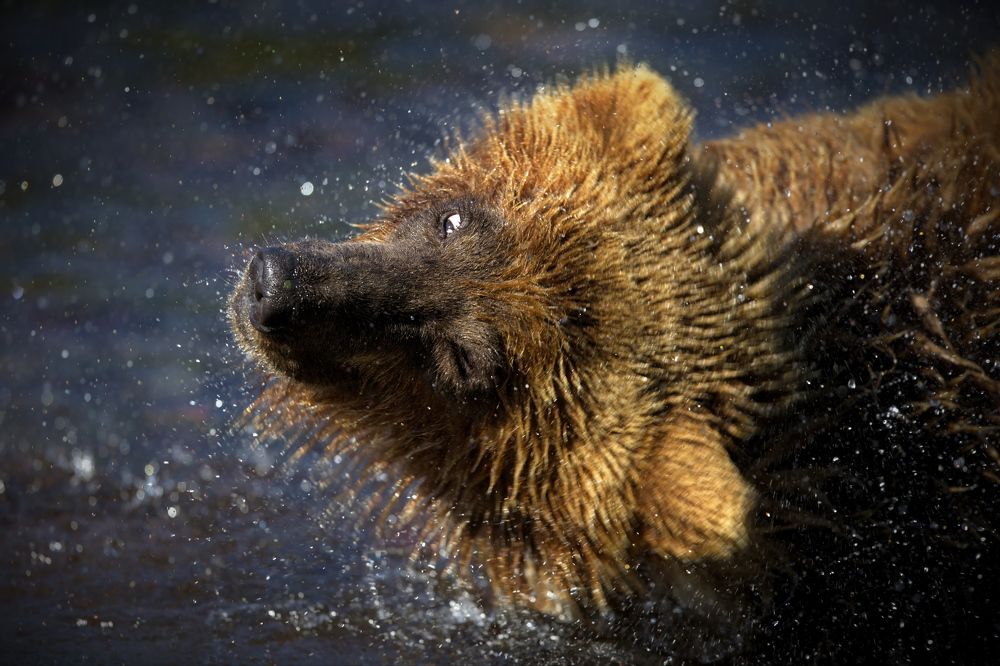 Водные процедуры