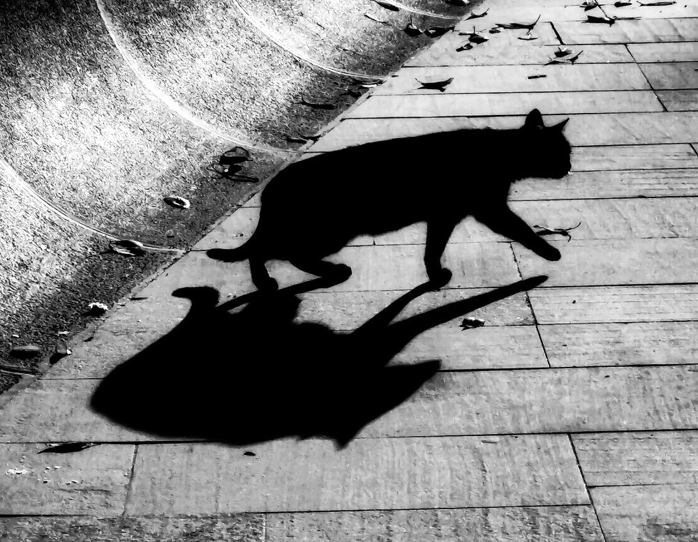 Photograph by Наталья Трофимова