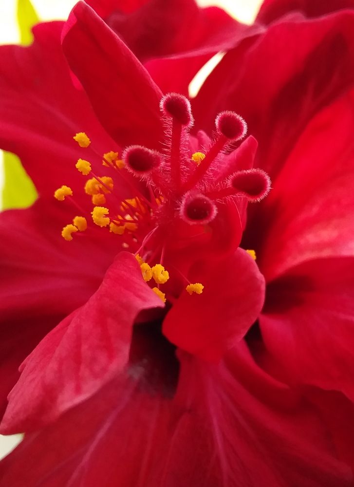 Photograph by Анастасия Кичигина