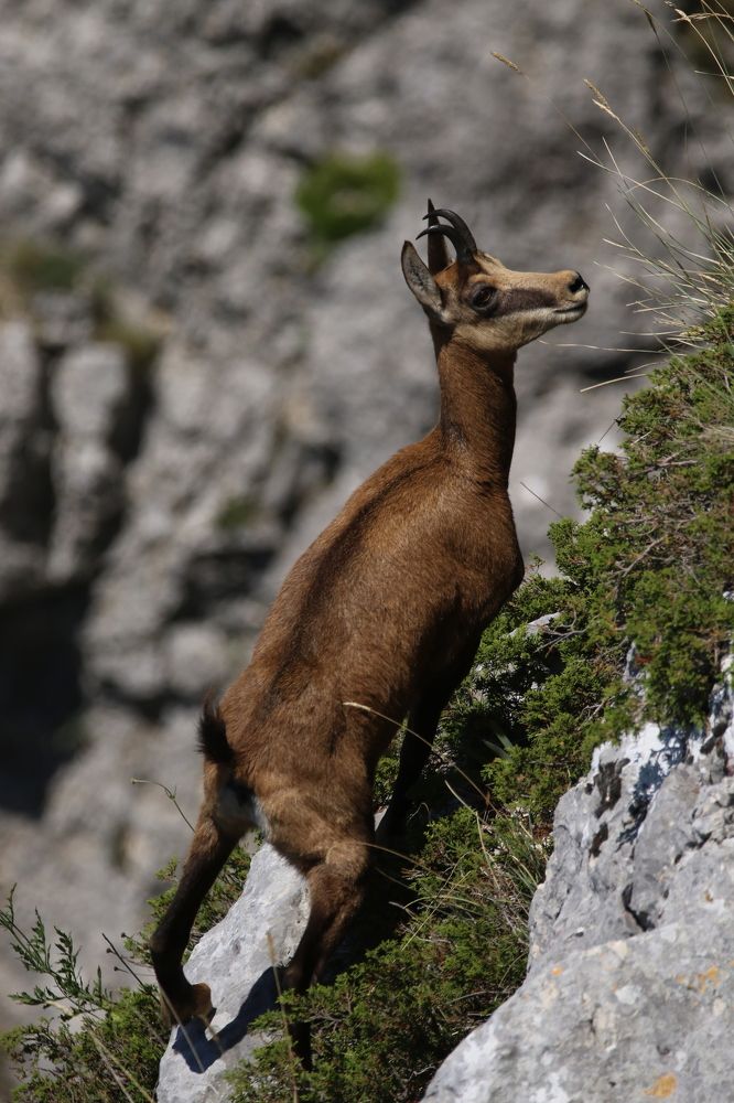 Photograph by Bruno Kaurinovic