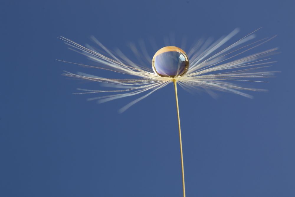 Photograph by Bruno Kaurinovic