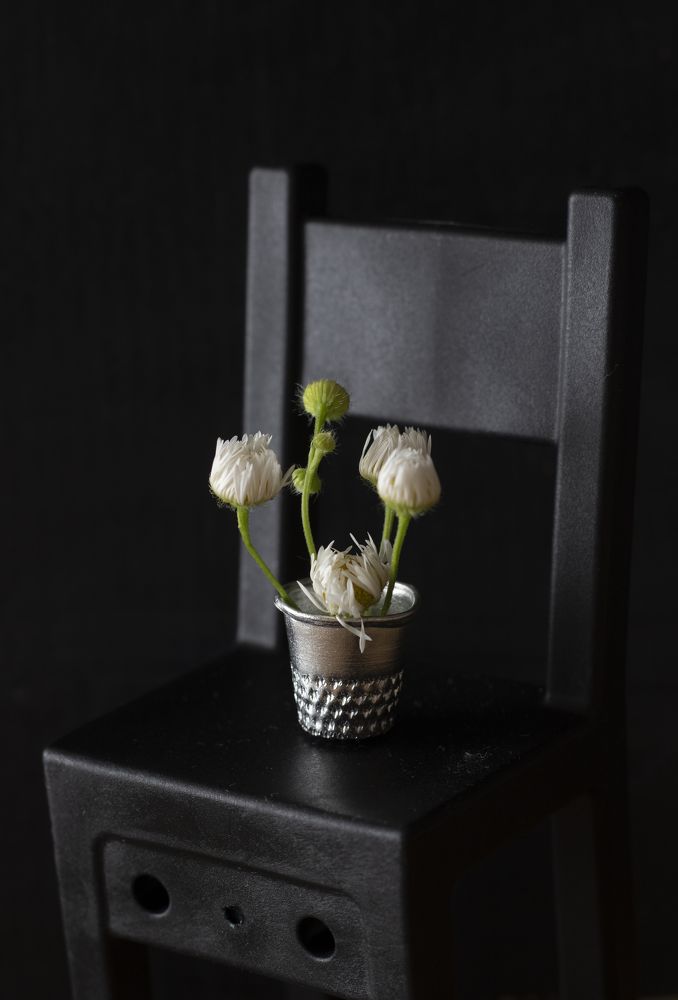 Photograph by Анастасия Трофимовская