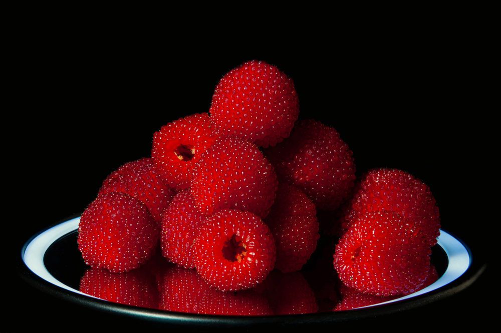 Photograph by Диана Бородзе