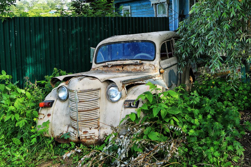 Photograph by Моложников Юрий