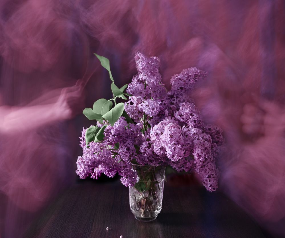 Photograph by Ирина Кленкова