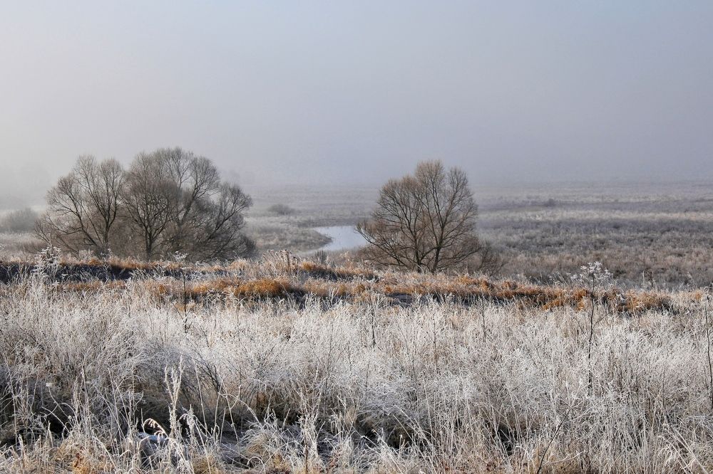 Зимнее безмолвие