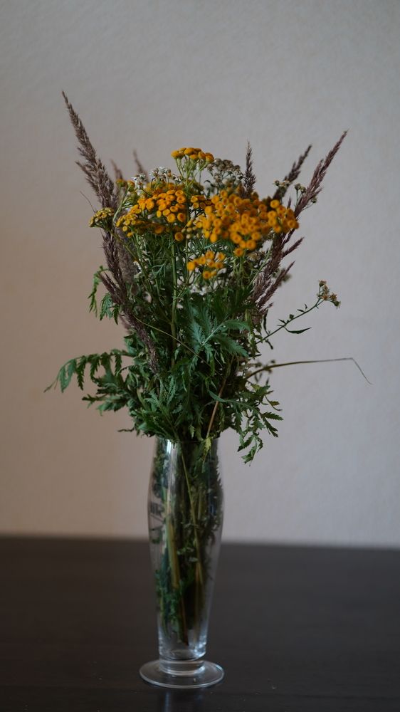 Фотография автора Наталья Чунихина