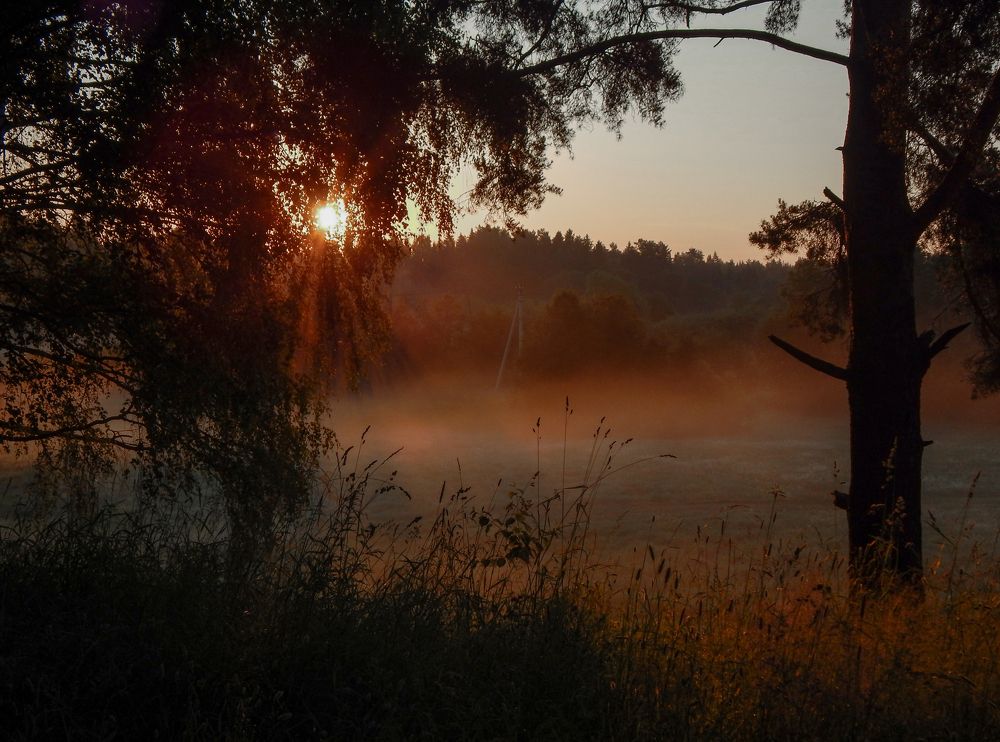 Летнее утро.