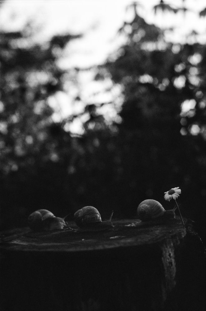 Photograph by Василий Селиванов