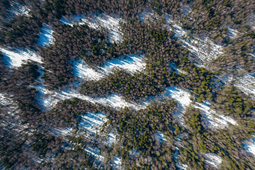 Photograph by Евгений Порсов