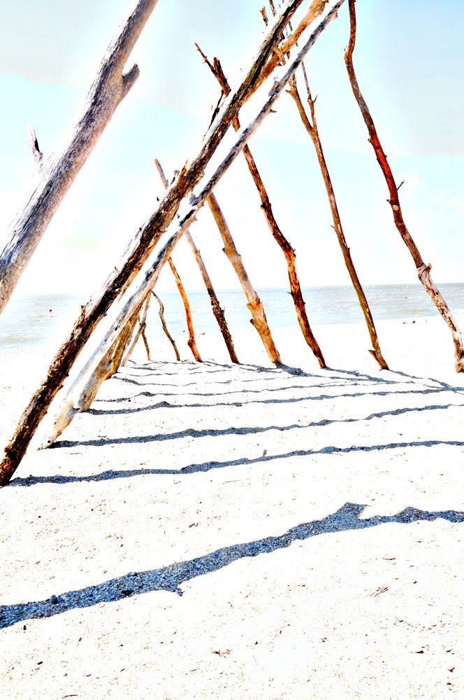 Photograph by Ольга Шевцова