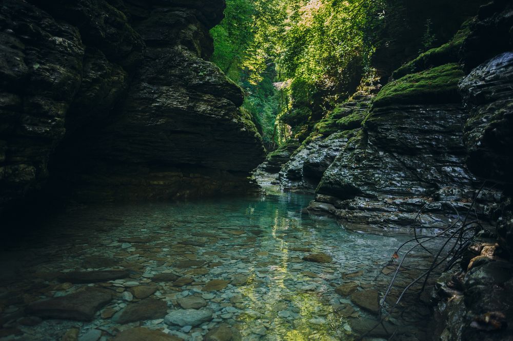 Фотография автора Сергей Василенко
