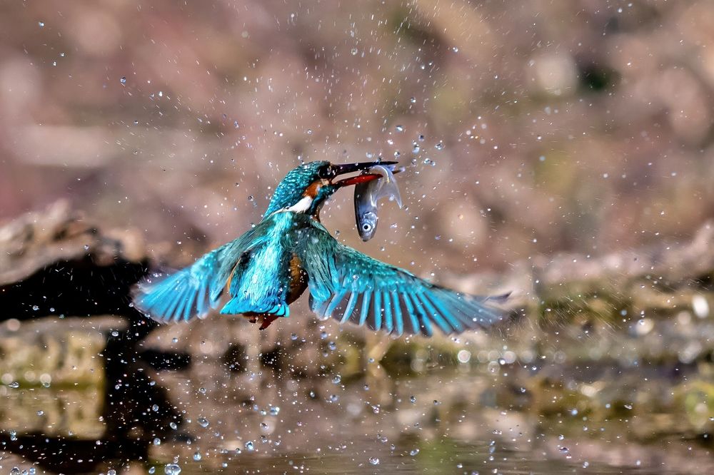 Photograph by Marjan Gresl