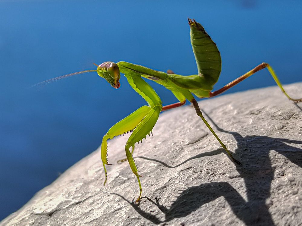 Photograph by Екатерина Слепнева