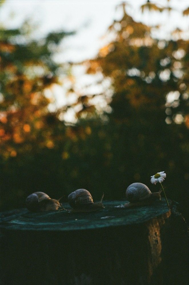 Photograph by Василий Селиванов