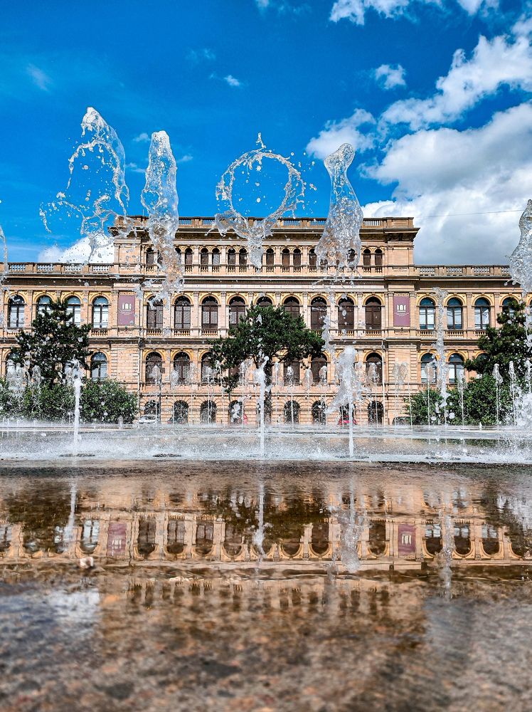 Фотография автора Олеся