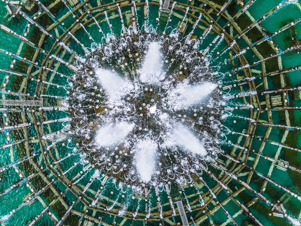 Photograph by Евгений Порсов