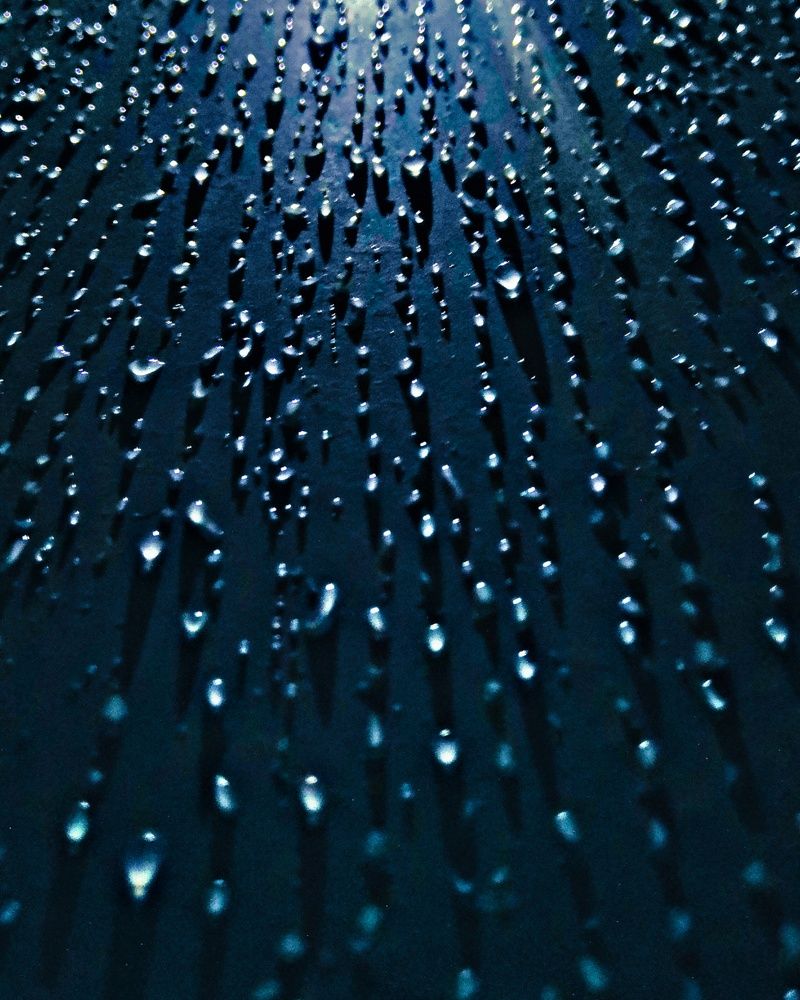 Photo #7898624