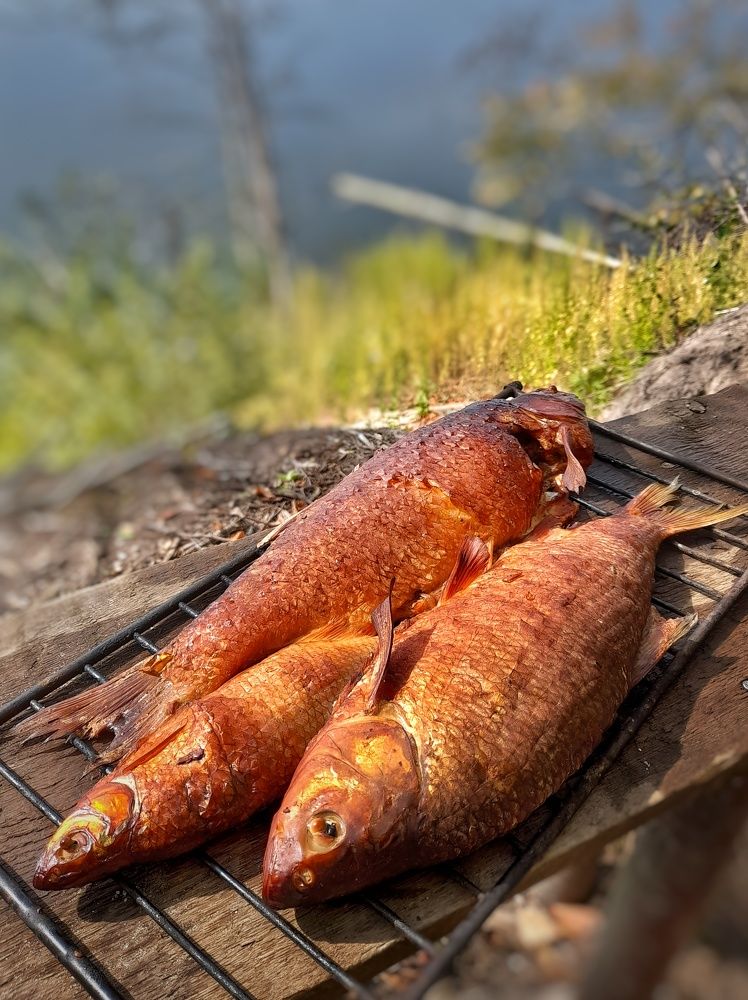 Фотография автора Тамара Караваева