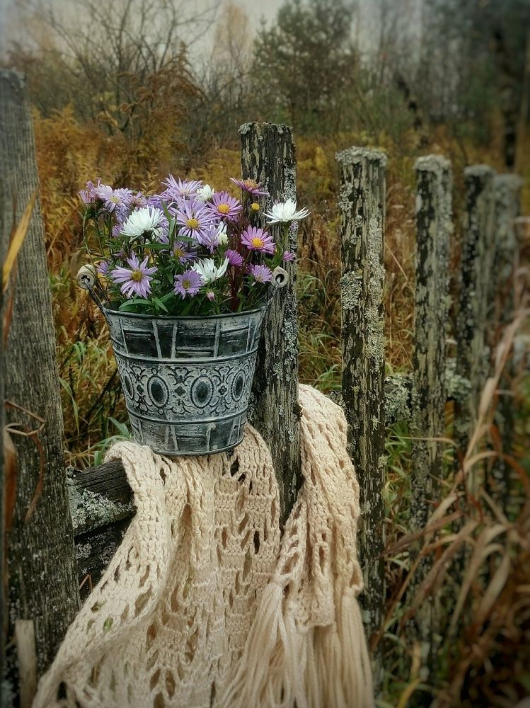 Фотография автора Тамара Караваева