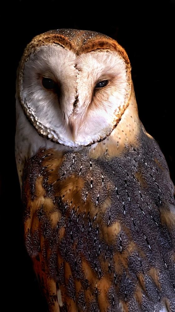 Photograph by Блинов Владислав