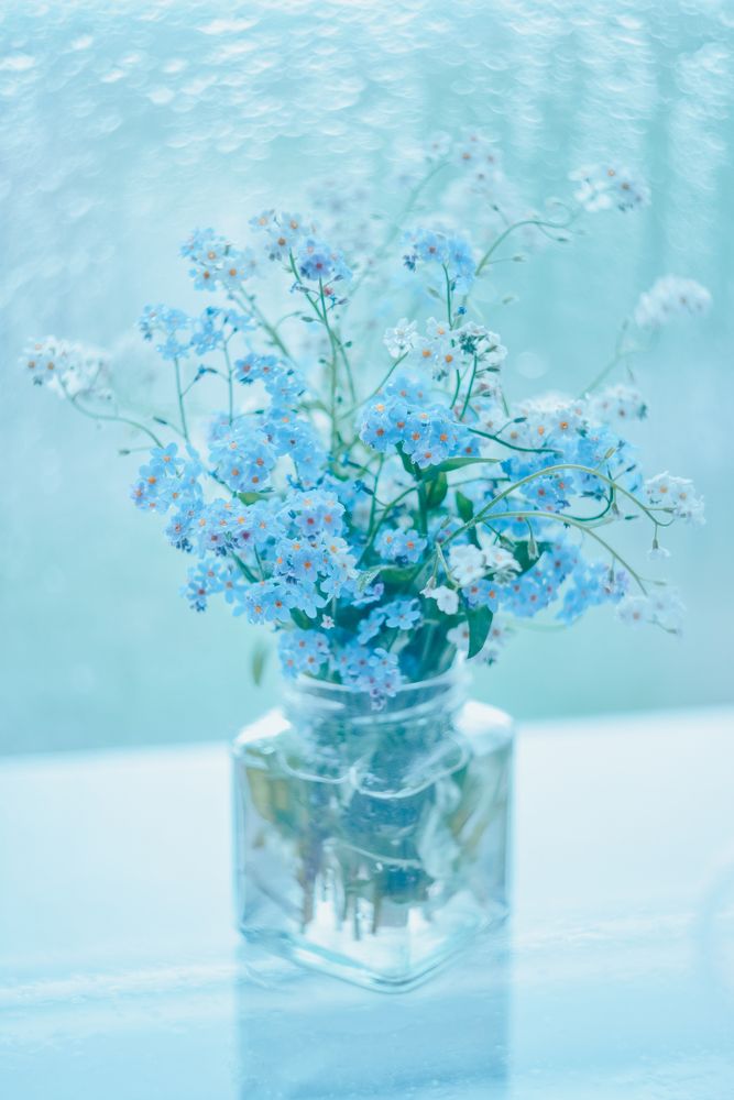 Photograph by irina sherry