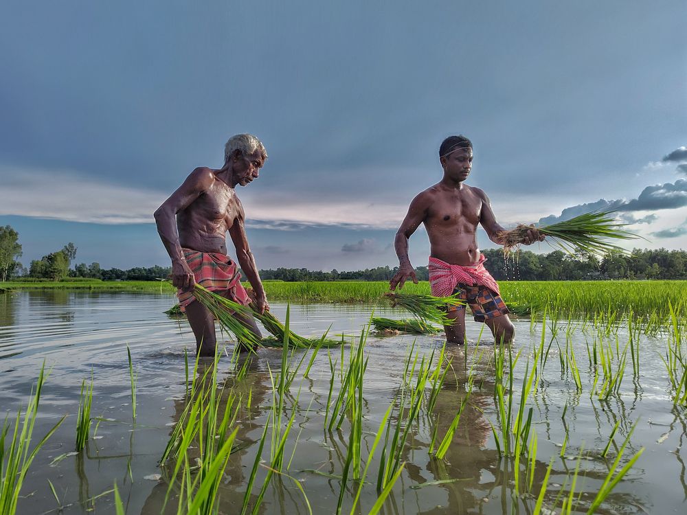 Photograph by PRADIPTAMOY PAUL