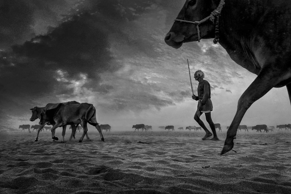 Just Before The Storm