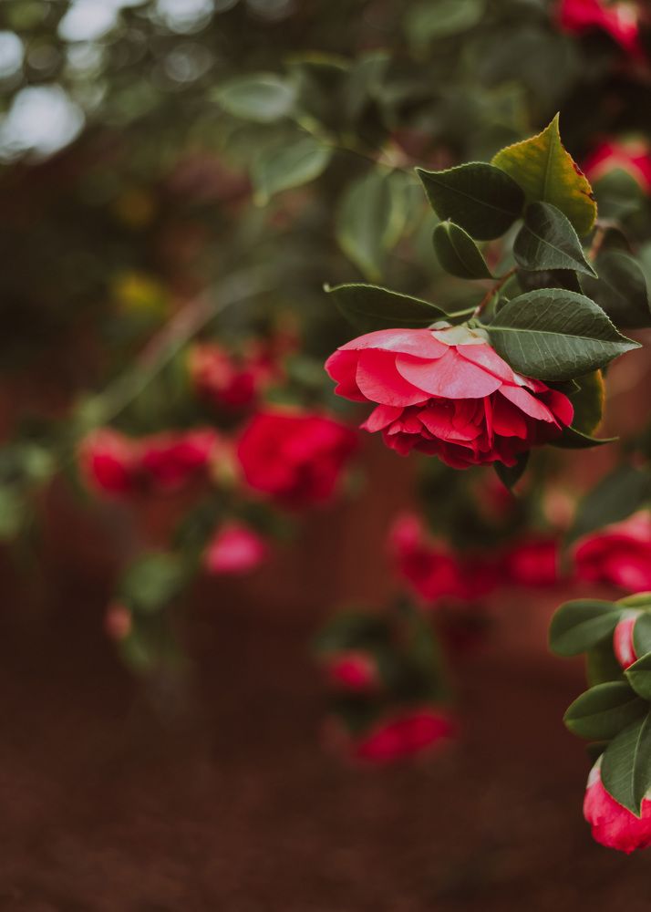 Photograph by Anna Vlasova