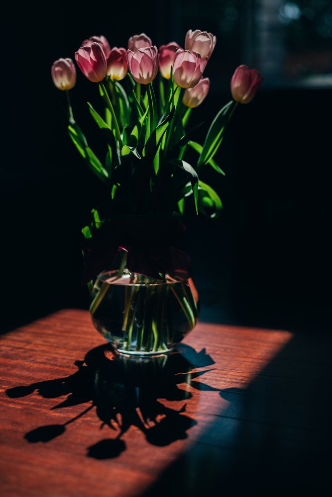 Photograph by Anna Vlasova