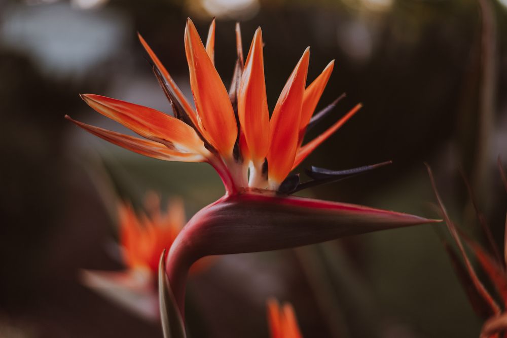 Photograph by Anna Vlasova