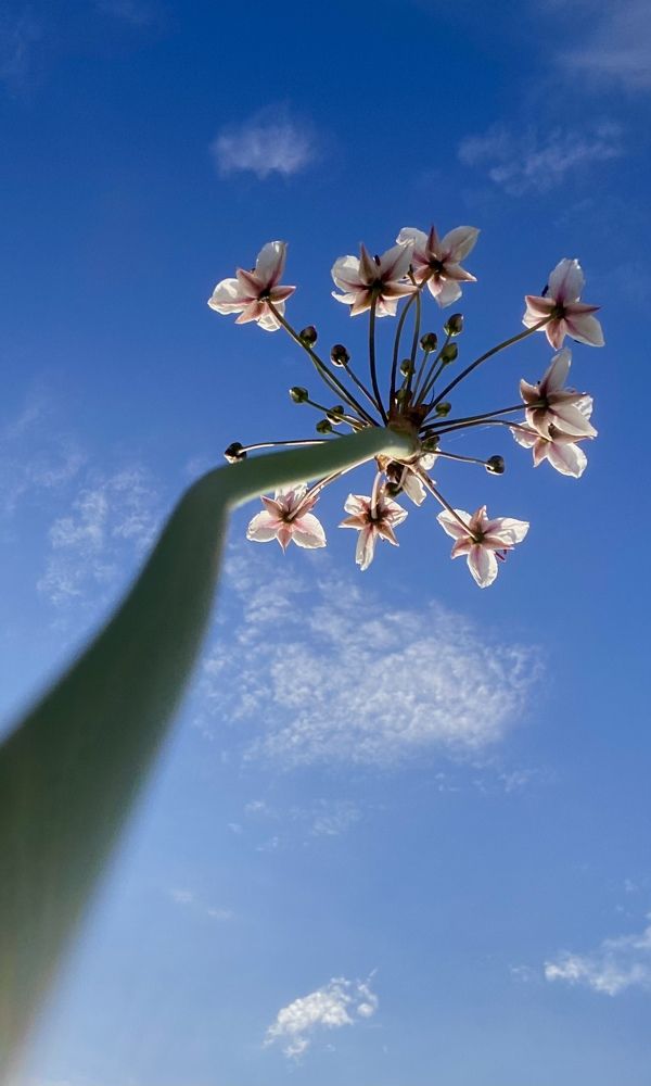 Photograph by Алиса Лукина